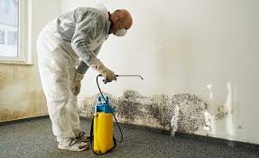 Professional Mold Remediation in Endwell, NY